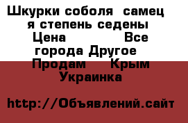 Шкурки соболя (самец) 1-я степень седены › Цена ­ 12 000 - Все города Другое » Продам   . Крым,Украинка